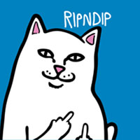 Ripndip
