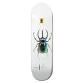 Shape Girl Skateboards Simon Bannerot Beetles Deck - Branco