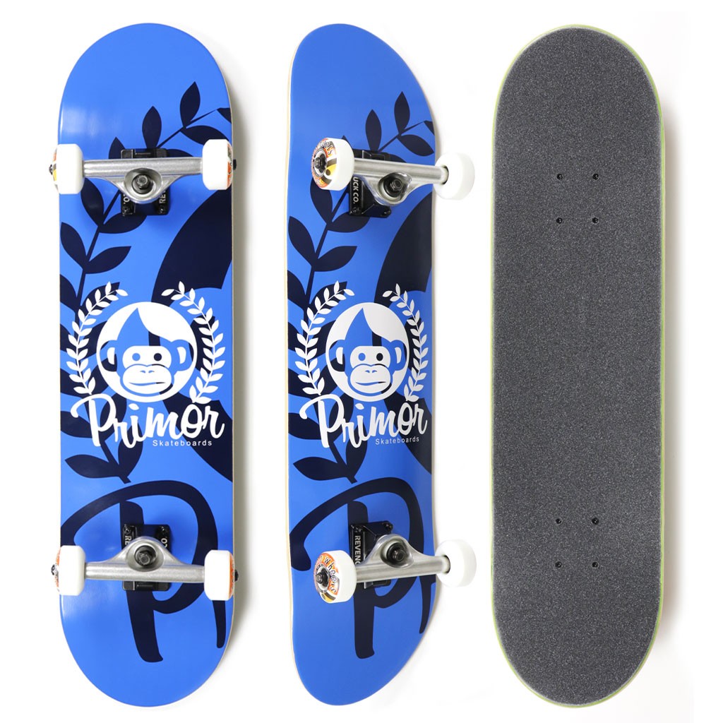 Skate Montado Multimarca Profissional Start - Azul / Branco
