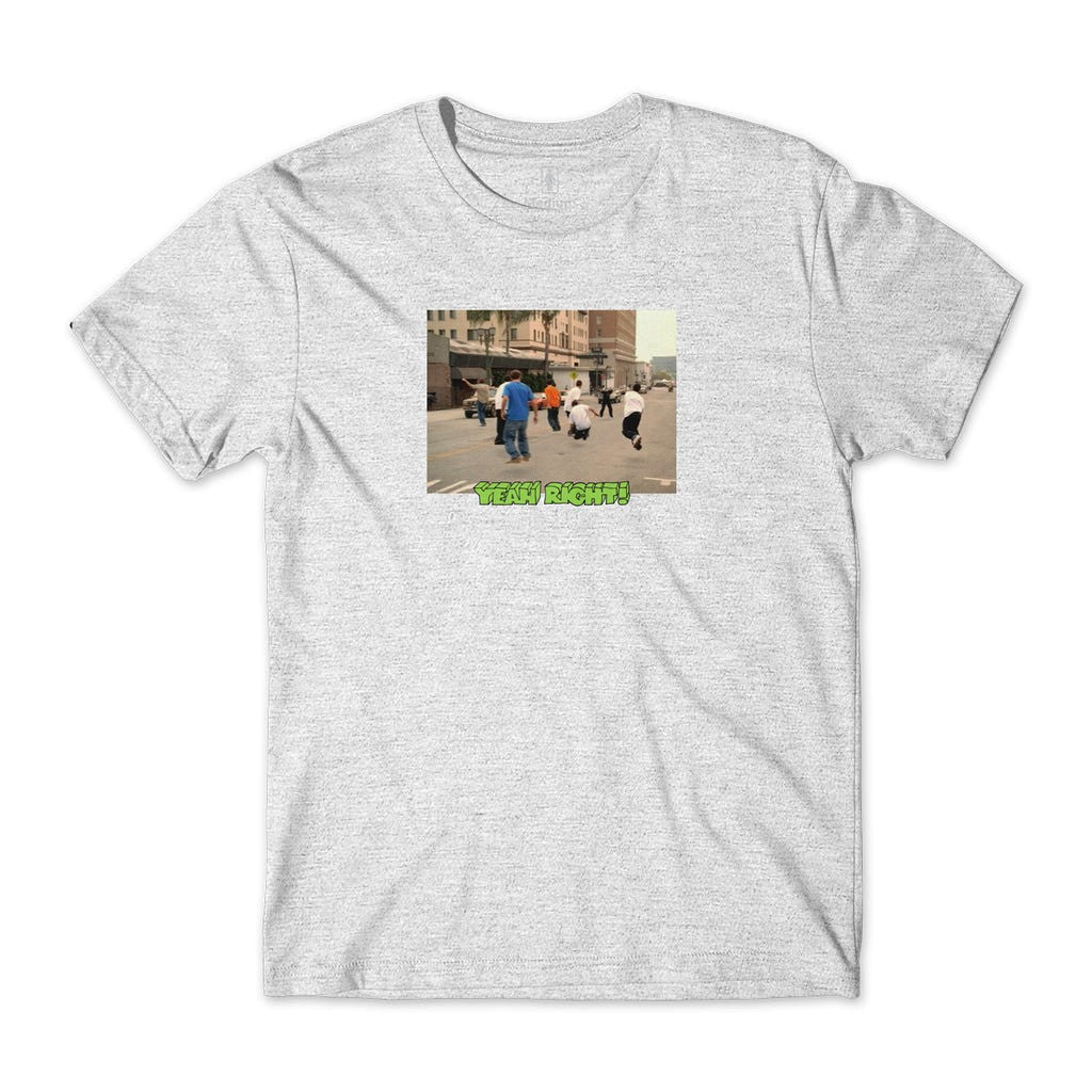 Camiseta Girl Skateboards Yeah Right Invisible Photo - Cinza
