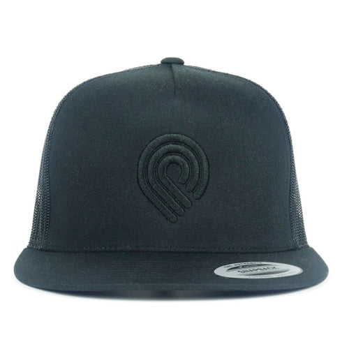 Boné Powell Peralta Triple P - Preto