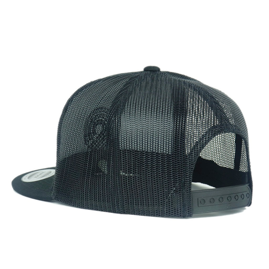 Boné Powell Peralta Triple P - Preto