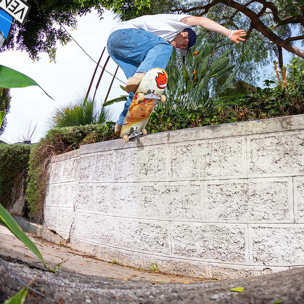 SW FS Crook